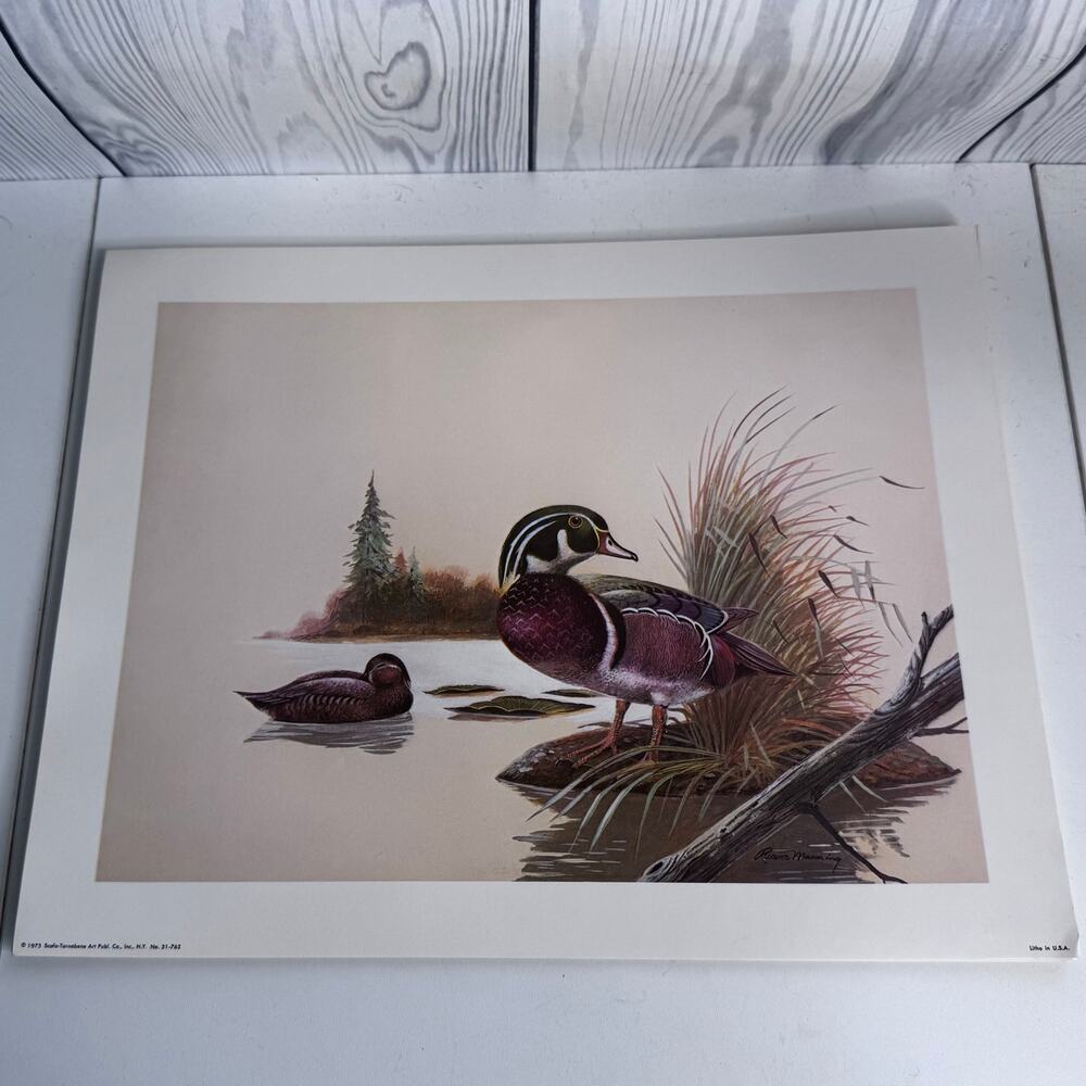 Vintage Ruanne Manning Duck Lithograph Print 1973 Scafa-Tornabene Art Publ.